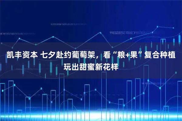 凯丰资本 七夕赴约葡萄架，看“粮+果”复合种植玩出甜蜜新花样