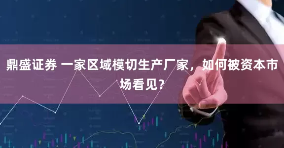 鼎盛证券 一家区域模切生产厂家，如何被资本市场看见？