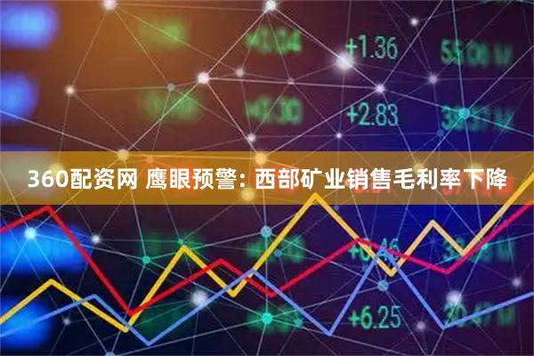 360配资网 鹰眼预警: 西部矿业销售毛利率下降